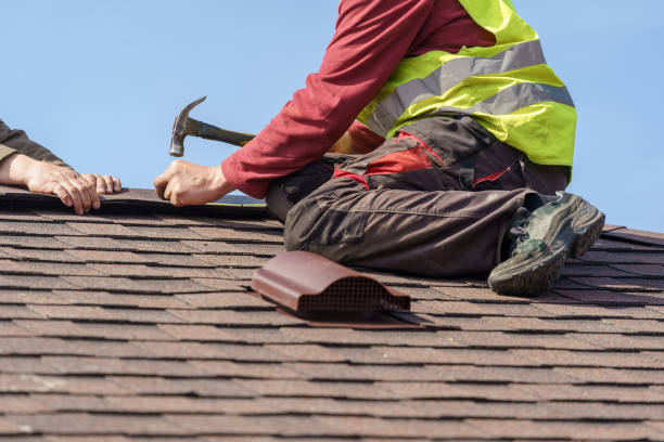 Best Roof Gutter Cleaning  in Rosemont, IL