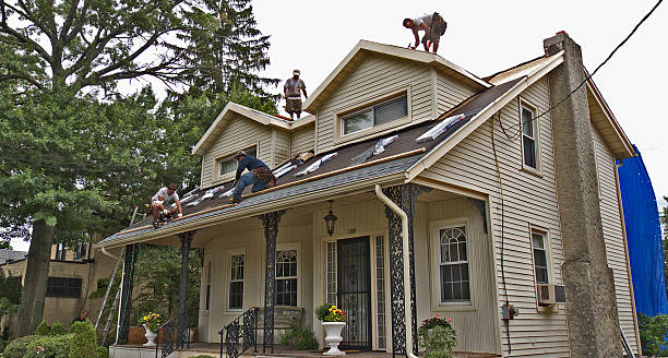 Best Flat Roof Repair Services  in Rosemont, IL