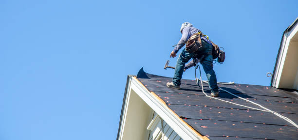 Best Roof Gutter Cleaning  in Rosemont, IL